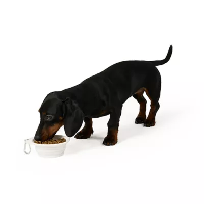 Product Merry & Bright® Snowman Collapsible Bowl