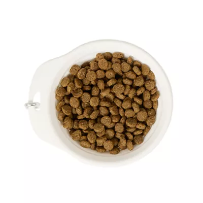 Product Merry & Bright® Snowman Collapsible Bowl