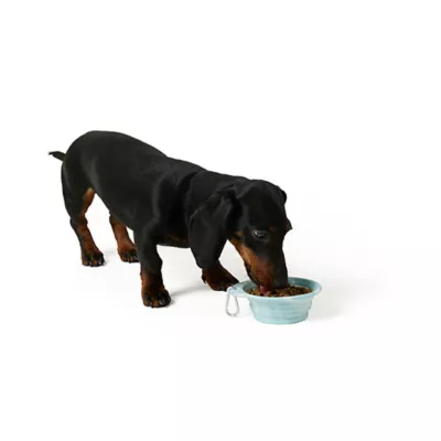 Product Merry & Bright® Snowflake Collapsible Bowl