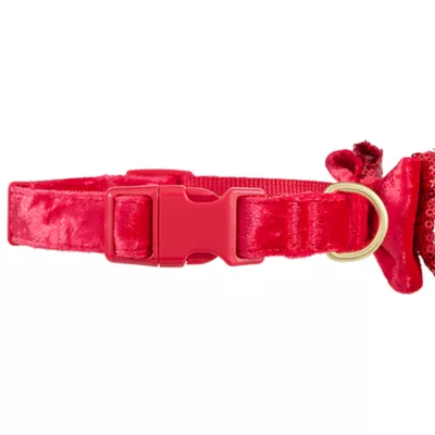 Product Merry & Bright® Velvet Collar