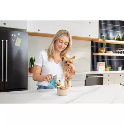 Product Brutus Bone Broth Hip & Joint Adult Dog Meal Topper - Beef, 16.9 Fluid Oz