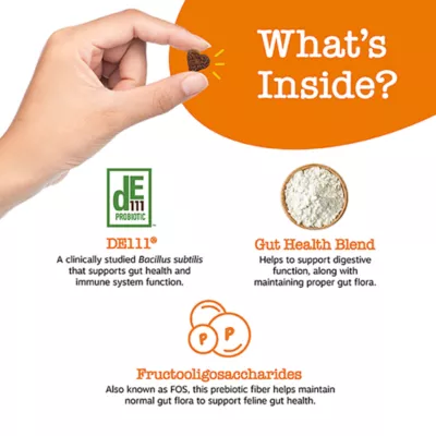 Product Zesty Paws Cat Probiotic Bites, Chicken, 60 Count