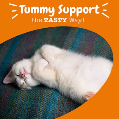 Product Zesty Paws Cat Probiotic Bites, Chicken, 60 Count