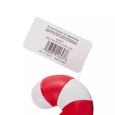 Product Merry & Bright® Vinyl Candy Cane Toy