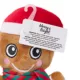 Product Merry & Bright® Plush Gingerbread Dog Toy