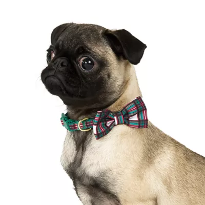Product Merry & Bright® Plaid Collar