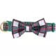 Product Merry & Bright® Plaid Collar