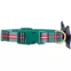Product Merry & Bright® Plaid Collar