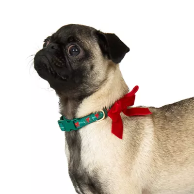 Product Merry & Bright® Wreath Collar