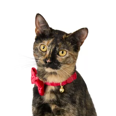 Product Merry & Bright® Cat Collar