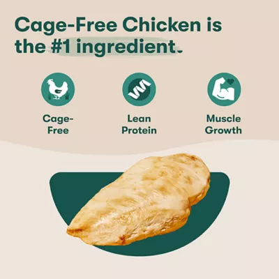 Product Jinx All Life Stages Grain-Free Dry Dog Food - Chicken, Sweet Potato & Carrot