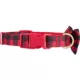 Product Merry & Bright® Gingham Holiday Dog Collar