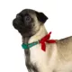 Product Merry & Bright® Wreath Collar