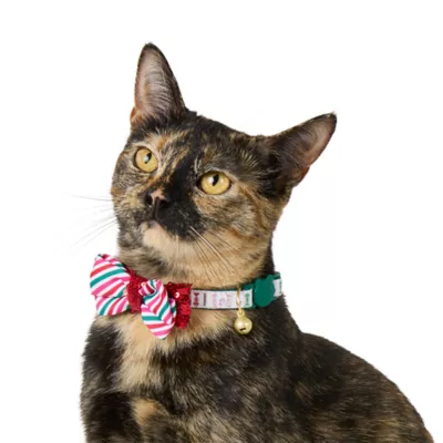 Product Merry & Bright® Holiday Cat Collar