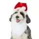 Product Merry & Bright® Santa Headband