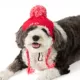 Product Merry & Bright® HO HO Beanie