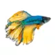 Product Mustard Betta