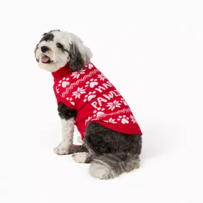 Product Merry & Bright® Happy Paw Holiday Sweater