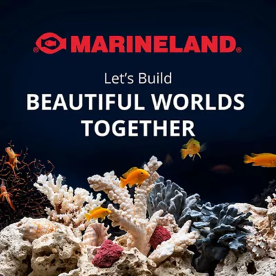 Product Marineland® High Definition LED Aquarium & Stand Ensemble - 45 Gallon