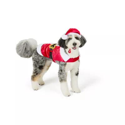 Product Merry & Bright® Santa Holiday Costume