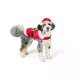 Product Merry & Bright® Santa Holiday Costume