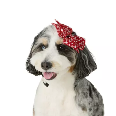 Product Merry & Bright® Star Headband