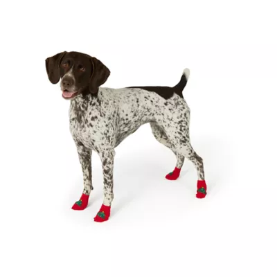 Product Merry & Bright® Tree Socks