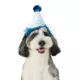 Product Top Paw® Birthday Hat