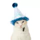 Product Top Paw® Birthday Hat