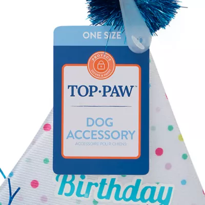 Product Top Paw® Birthday Hat