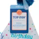 Product Top Paw® Birthday Hat
