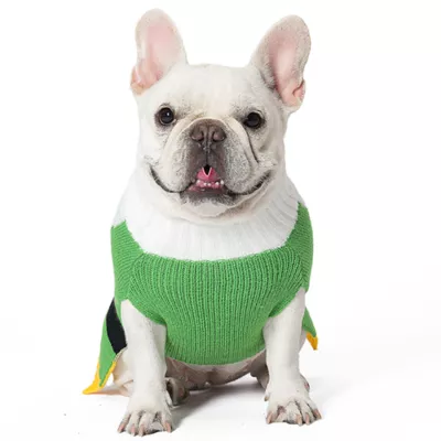 Product Elf: Buddy the Elf Holly Dog Sweater