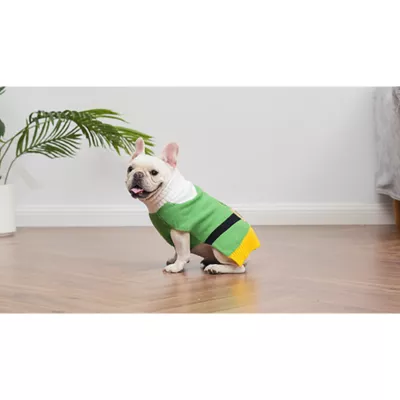 Product Elf: Buddy the Elf Holly Dog Sweater