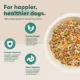Product Jinx Homemades All Life Stages Wet Dog Food 9 oz