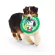 Product BARK Disc the Halls Charlie Brown Frisbee Disc Wreath Dog Toy