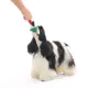 Product BARK Super Chewer Blizzard Beagle Charlie Brown Snoopy Tug Dog Toy