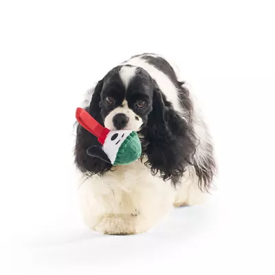 Product BARK Super Chewer Blizzard Beagle Charlie Brown Snoopy Tug Dog Toy