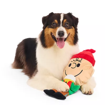 Product  BARK Hot Chocolate Charlie Brown Dog Toy