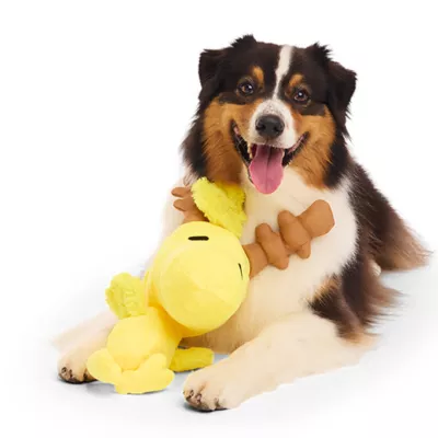 Product BARK Reinbird Charlie Brown Woodstock Reindeer Dog Toy