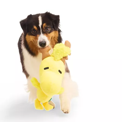 Product BARK Reinbird Charlie Brown Woodstock Reindeer Dog Toy