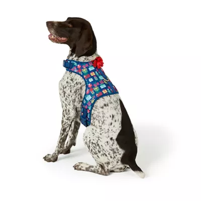 Product Merry & Bright® Holiday Presents Vest Harness
