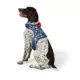 Product Merry & Bright® Holiday Presents Vest Harness