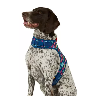 Product Merry & Bright® Holiday Presents Vest Harness