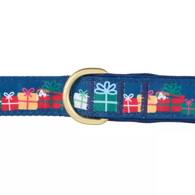 Product Merry & Bright® Gifts Holiday Dog Leash