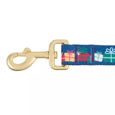 Product Merry & Bright® Gifts Holiday Dog Leash