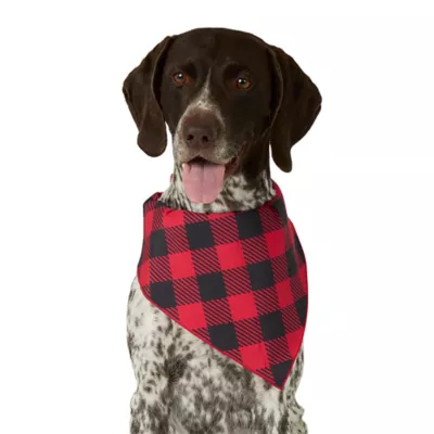 Product Merry & Bright® Buffalo Bandana