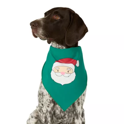 Product Merry & Bright® Holiday Lights Dog Bandana