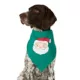 Product Merry & Bright® Holiday Lights Dog Bandana