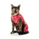 Product Merry & Bright® Holiday Pajamas for Pet Parents