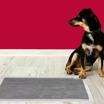 Product Nature's Miracle Advanced Puppy Training Pads With Carbon Activated Odor Reduction, Lavender